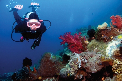 Scuba Diving